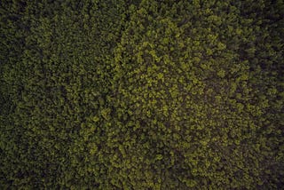 The importance of filtering in Recommender Systems