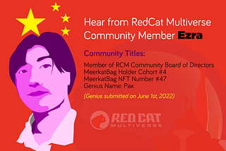 RedCat Multiverse Is The Future Of Gaming — A Commentary From One Of Our Active Community Members