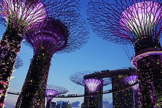 News Item #7: Singapore law firm allegedly paid ransom of S$1.89 million after being hit by cyber attack. Singapore’s Gardens by the Bay. Image by Jason Goh from Pixabay.