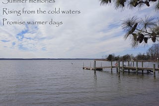 A photo of the Patuxent River taken February 2023 from Broomes Island, Maryland. The sky is mostly grey with a few patches of blue. The river is a grey-green color, and is calm. Photo by K. R. Smith.