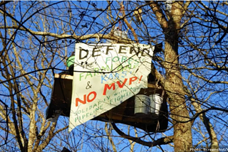 A David vs. Goliath story: WV Tree sitters halt construction of Mountain Valley Pipeline