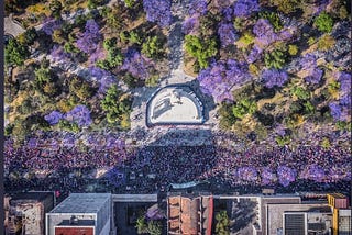 Drone aerial view of a street full of women wearing purple, passing lots of purple jacaranda trees in Mexico City on March 6th, 2020