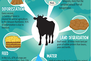 Cause & Effect of Agriculture on the Climate