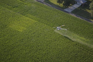 How Illinois’ ‘fragmented system’ of monitoring pesticide exposure ‘allows individuals to get…