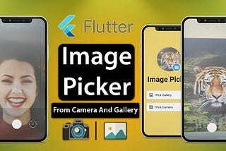 Build a Flutter App implementing Image Picker From Camera & Gallery