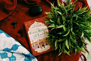 The Forty Rule of LOVE Book Review