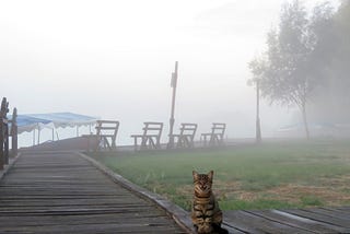 The Beggar