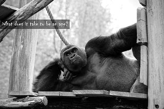What Does It Take To Be an Ape?
