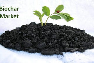 Biochar Market Recent Technological Advancements to Propel Growth of theMarket in Foreseeable…