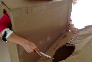 The author is wearing a large cardboard box with her head and arms sticking out of the box. She is cutting a hole in the top of another large cardboard box.