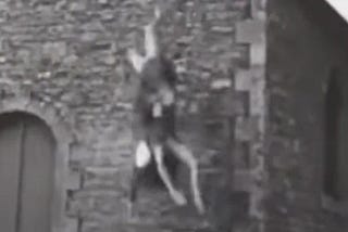 Frightened Tourist Captures Witch Fight At Glendalough Monastery