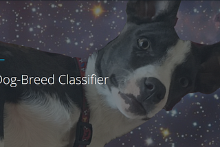 Udacity DLND Dog Breed Project: Debugging your Scratch Model