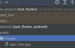 Using an image in the flutter App.