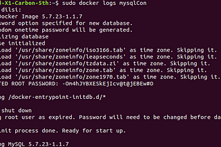 How to deploy and use a MySQL Docker container in Ubuntu