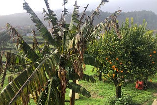 Portugal Farmhouse update (after the storms!)
