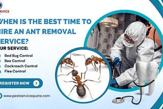 When Is the Best Time to Hire an Ant Removal Service?