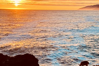 At the Edge of the World…