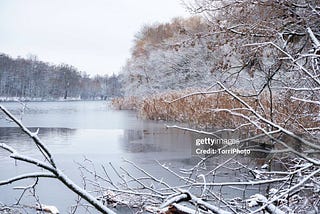 Freeze