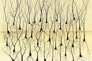 Lessons from AI on Community Development: A Baha’i View