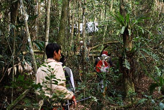 與鄒族獵人踏查 — 樂野部落獵場