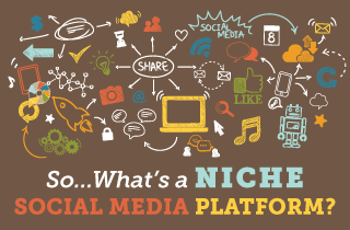 Niche Platforms Thought Paper