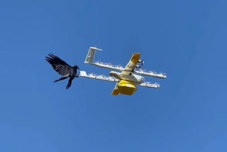 How to stop Ravens attacking delivery drones
