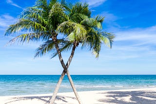 The Non Beach Enthusiast Guide to Enjoying the Beach