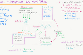 Product design team process