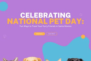 Celebrating National Pet Day: Fun Ways To Treat Your Furry Friends In Santa Monica