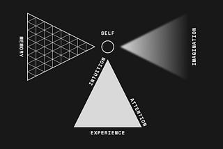 How brains construct experience — 2. Elements of experience