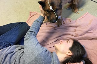 On Pet Loss: Don’t Wait For The Crisis