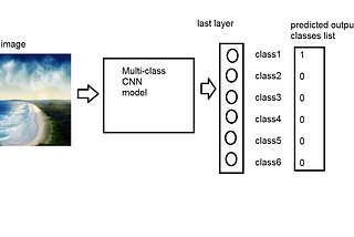 Multi-Class Classification using CNN for custom Dataset.