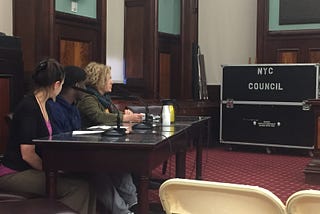 City Council Budget Hearing 2017 — Teachers Unite Member, Nicole Riley Testimonial