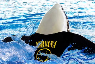 Self-Conscious Orca Wears Nirvana T-Shirt in Pool