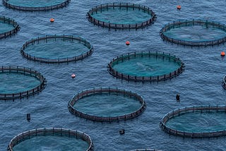 Food (Evolution) For Thought: Agriculture vs. Aquaculture