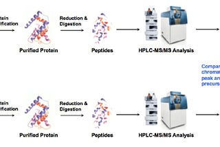 What You Should Know About Quantitative Proteomics