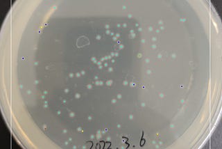 Automated Counting of Bacterial Colony Forming Units on Agar Plates