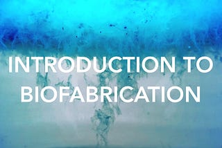Presentation // Introduction to Biofabrication #FashionGreenDays