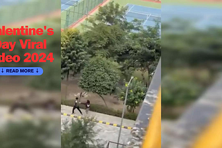 Valentine’s Day Viral Video 2024: A Man Violently Kicking A Girl On A College Campus