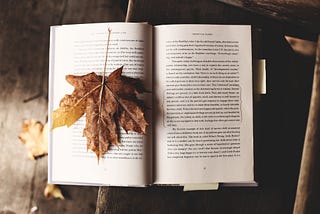 8 Books to Read in the Fall