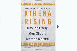 If Mansplaining Women’s Issues in the Workplace Was a Book