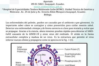 Detección molecular de virus respiratorios