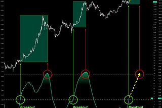 2025: The year of Bitcoin and Memecoins