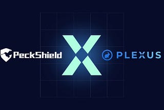 Plexus Ecosystem Audit Report 🐇