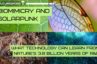 Biomimicry and Solarpunk: What Technology Can Learn from Nature’s 3.8 Billion Years of R&D