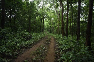 Themes of the Humanities: Nature