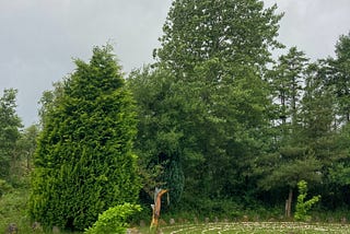 Locating the Living View