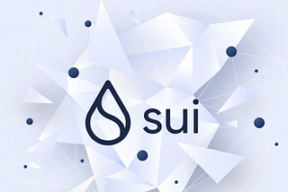 Empowering Privacy in a Data-Driven World: The SUI Solution