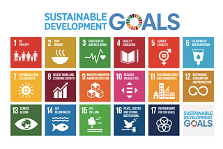 Join CODE for a webinar on Strategies for SDG National Reporting