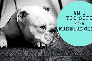 Am I Too Soft for Freelancing?